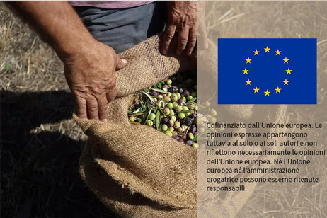 In arrivo le conclusioni Ue sul futuro dell'agricoltura