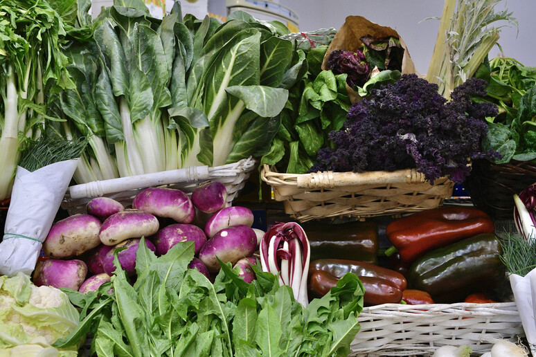 Varietà di vegetali foto iStock. - RIPRODUZIONE RISERVATA