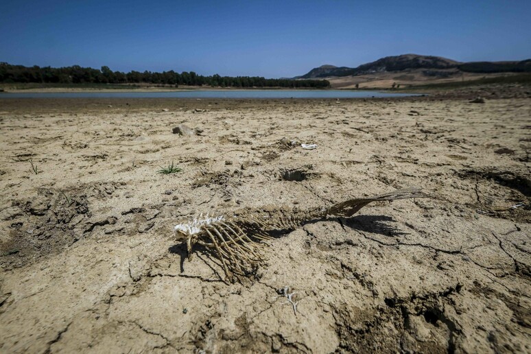 Periodi di siccità sempre più lunghi, almeno10 giorni in più. (ANSA) - RIPRODUZIONE RISERVATA